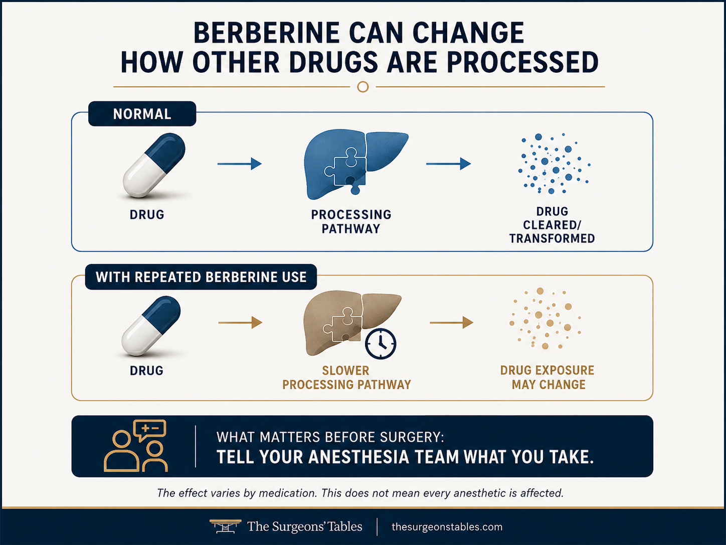 Diagram showing that repeated berberine use can alter some drug-processing pathways and change medication exposure.
