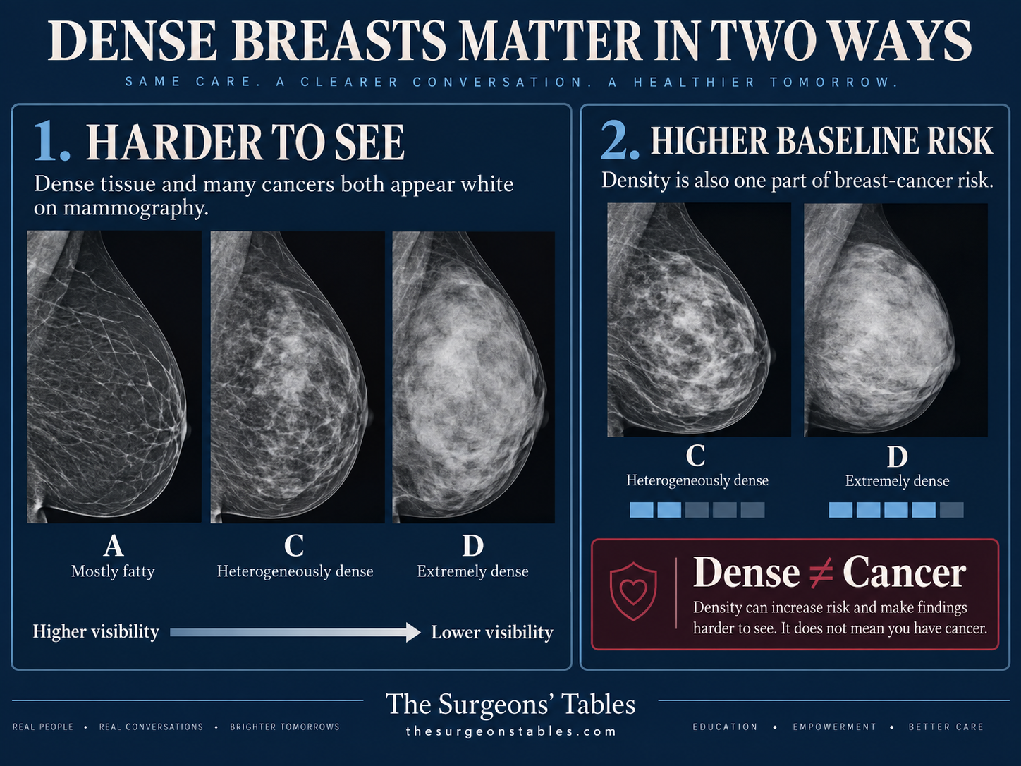Graphic explaining that dense breast tissue can both make cancers harder to see on mammography and contribute to overall breast-cancer risk.