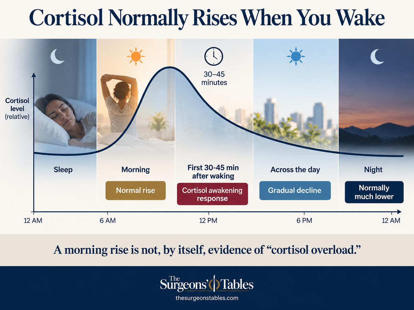 Diagram showing cortisol rising around waking, increasing during the first 30 to 45 minutes after awakening, then declining toward nighttime